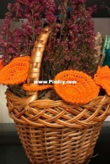 Basket with mushrooms