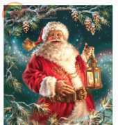HAED HAEDJG 981 The Enchanted Christmas by Dona Gelsinger