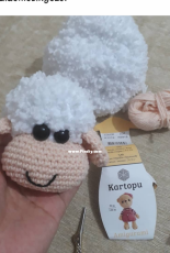 Sheep