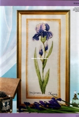 A Vision in Violet by Amy Adams from Cross Stitch Gold 41 XSD