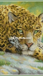 Letistitch - LETI920 - Peaceful Jaguar XSD
