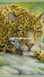 Letistitch - LETI920 - Peaceful Jaguar XSD