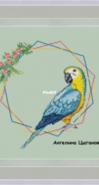 Parrot by Angelina Tsyganova (Ангелина Цыганова)