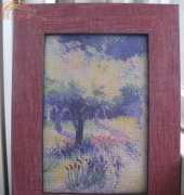 Lavender orchard