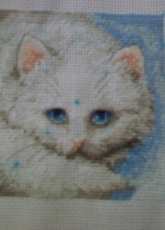 Adorable cat from Daydreams collection