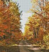 Artecy Cross Stitch - Country Road Photo by L Carrow