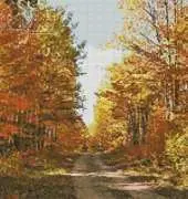 Artecy Cross Stitch - Country Road Photo by L Carrow