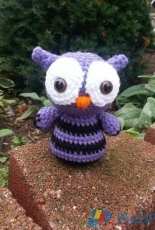Baby Owl
