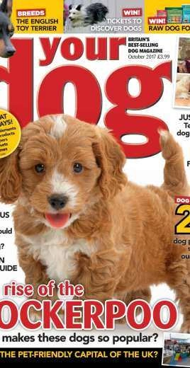 Your Dog October 2017