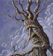 Stab and Stash BC0805 - Old Man Log by Bill Corbett