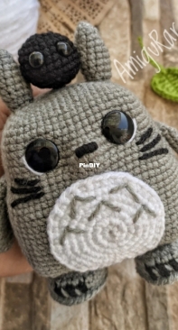 AmiguRar - Arquimedes Florencio - Totoro - Spanish
