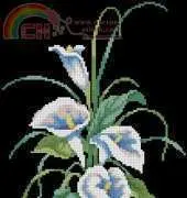 Dimensions - Sunset 13569 Calla Lilies XSD