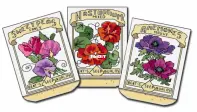 Seed Packets by Lesley Teare