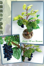 Grape tree