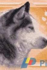 Panna J-1050 Siberian Husky