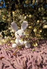 Little bunny