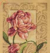 Dimensions 35239 Graceful Tulip XSD