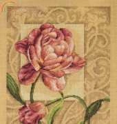 Dimensions 35239 Graceful Tulip XSD