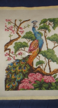 peacock