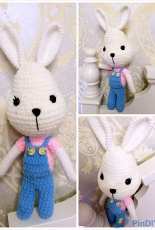 rabbit