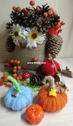 Cone Owl