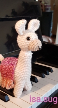 Little Llama