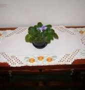 hardanger doily dafodill