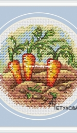 Carrot by Anna Petunova
