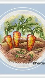 Carrot by Anna Petunova