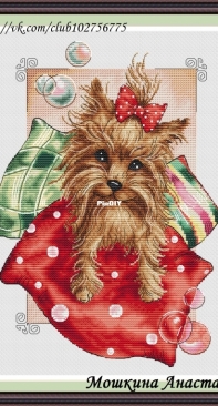 Yorkie by Anastasia Moshkina XSD