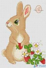 Bunny by Irina Neskorodeeva