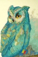 Emerald Owl