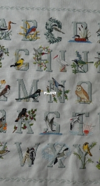 Bird Alphabet