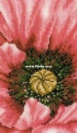 Lanarte 35022 - Pink Poppy Close Up PCS