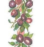 Lanarte 34309 Plums
