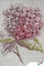 Veronique Enginger - Hortensia et liseron