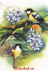 Orchidea 8170