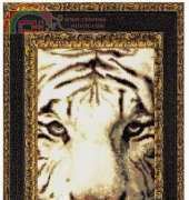 Sibirian Tiger 6537 From Hafty Polskie 02-2007