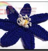 Meli Bondre - Camelia Shanahan - Anemone Hepatica - Free