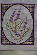 Bell heather