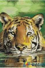 Kustom Krafts JW-030 Water Tiger II PCS