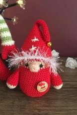 My Gnome for Christmas