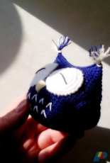 Sleepy owl