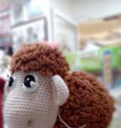 my sheep
