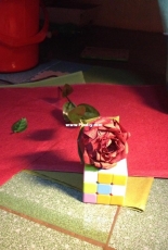 rose