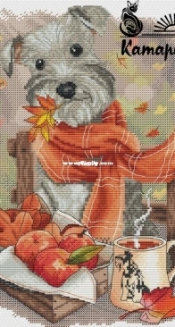 White Schnauzer by Ekaterina Saitova / Katarinka xsd