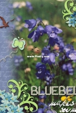 Digital scrapbooking - bluebells
