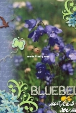 Digital scrapbooking - bluebells