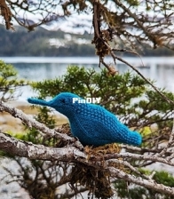 Gansey Hummingbird by Alexandria Wenninger