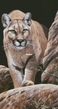 Puma by Ivolga
